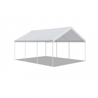 Tent 20x100