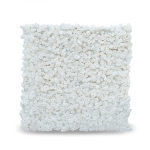 White Flowers Backdrop