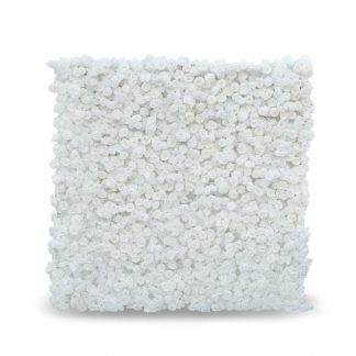 White Flowers Backdrop