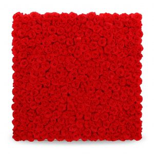 Red Flowers Backdrop