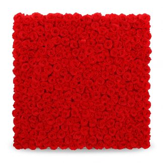 Red Flowers Backdrop